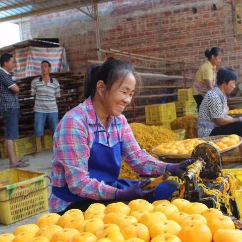 桂林市的柿饼哪里有卖