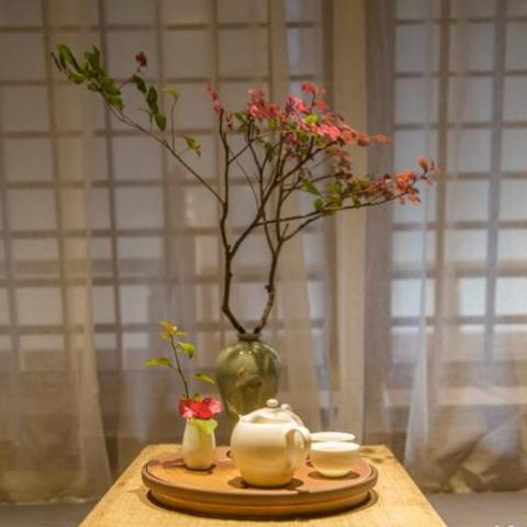 临沂市河东区种木头的长尾关键词有什么