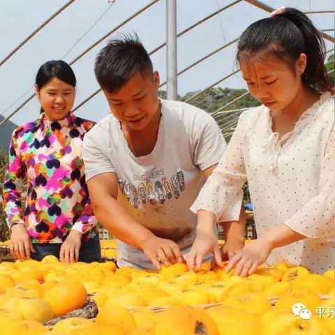 桂林食品冷库安装厂家相关长尾关键词有哪些