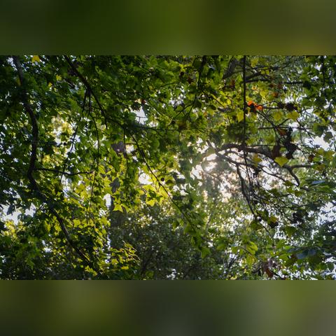 婺源天气三月天气的长尾关键词有哪些