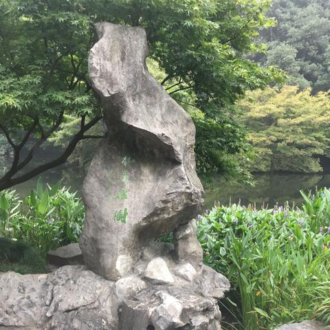 杭州市告知单需要带什么