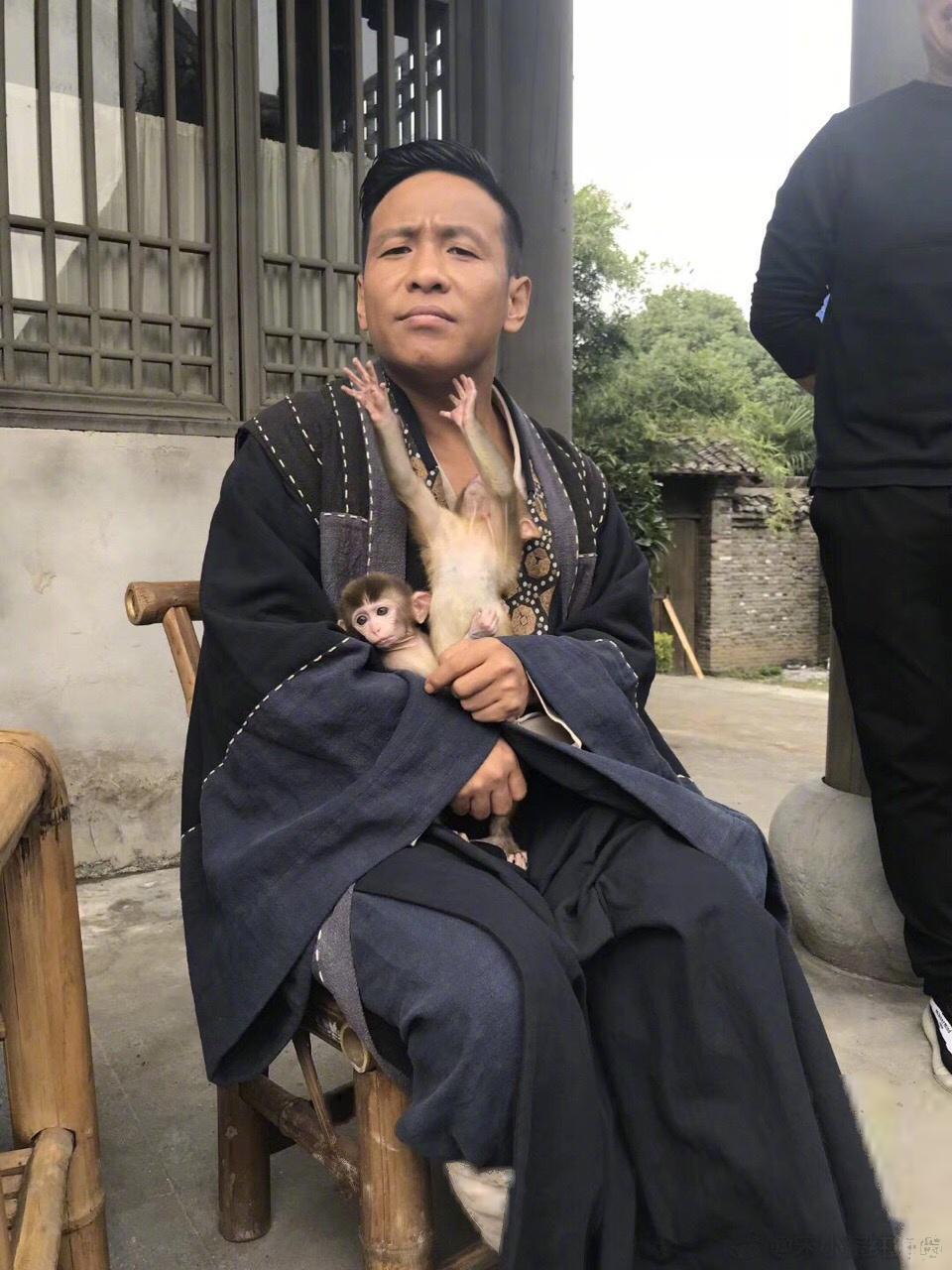 做梦梦到猴子，探索梦境中的灵长类启示