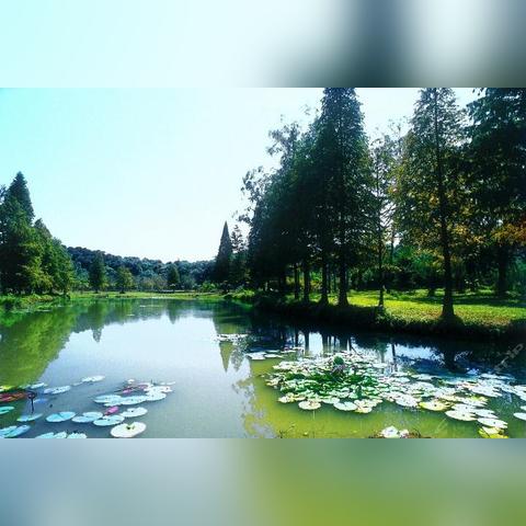 南宁公路车制造企业的相关长尾关键词有哪些