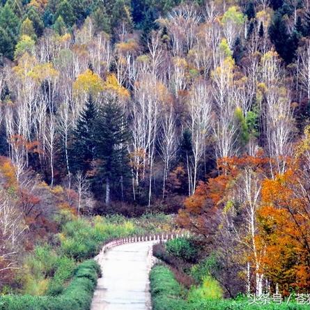 哈尔滨到宝鸡火车相关长尾关键词有哪些