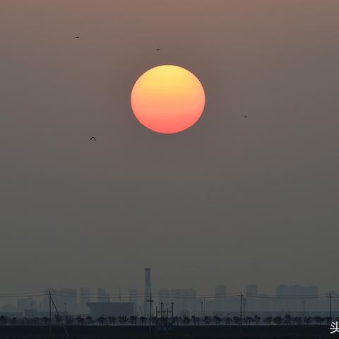 怎么查某个市的pm10