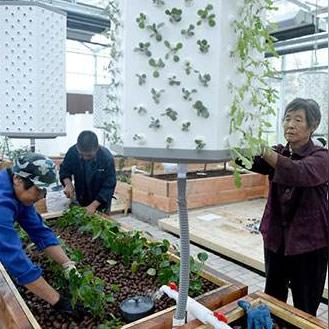 合肥市科技馆哪里好停车