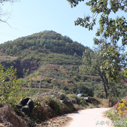 厦门市行后村海拔多少