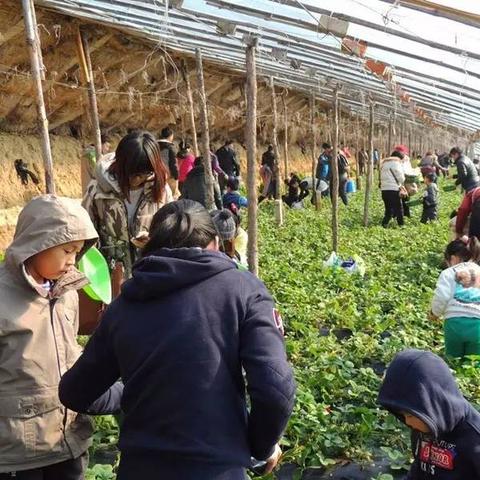 9月沈阳天气的长尾关键词有哪些