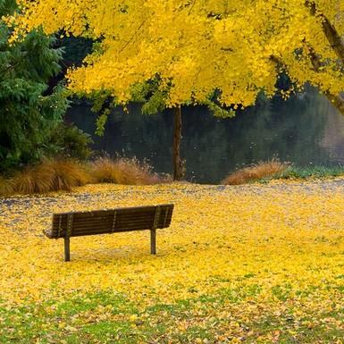 【桂林今日黄金价格】2025年7月21日桂林黄金价格是多少