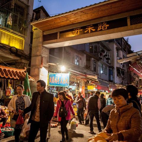 下厦门市的市树是什么