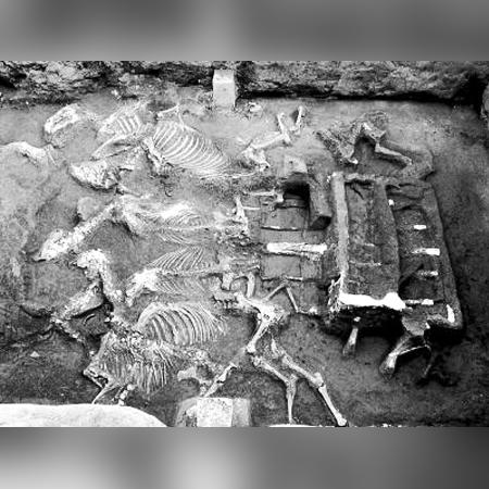 包头飞西安机票价格相关长尾关键词有哪些