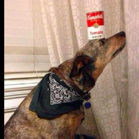 鸡蛋怎么变足球蛋