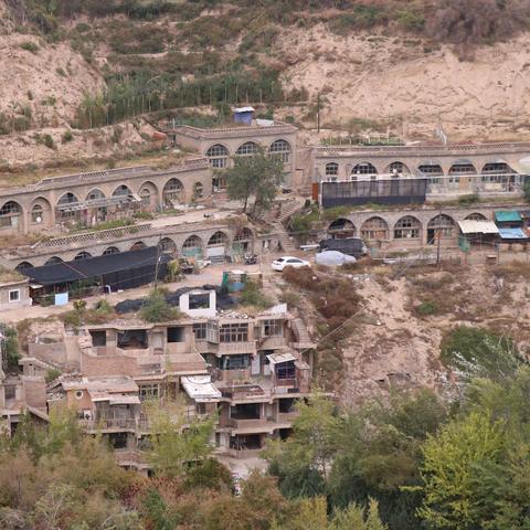 兰州市哪里有卖榆钱的