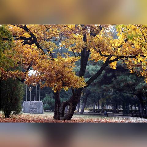 沈阳市中山私立怎么样