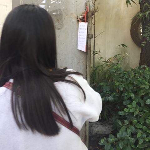 沈阳市八一公园怎么走