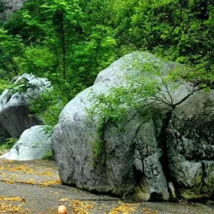 重庆天宫殿学校怎么样