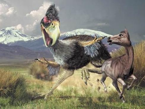 梦魇边缘的警示,解析梦到被狼追咬的深层含义 梦魇边缘的警示,解析梦到被狼追咬的深层含义