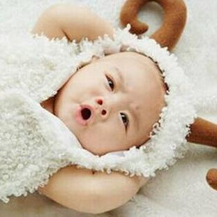 马年的生肖和运势(马年属什么生肖属相)