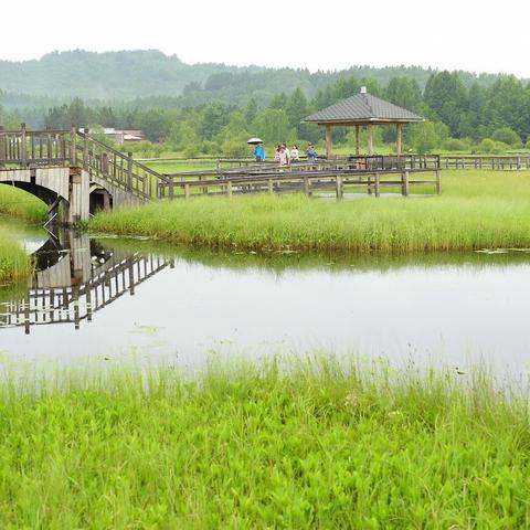 武汉市南面有座什么山