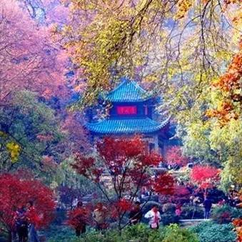 位于湖南长沙岳麓山的四大名亭？