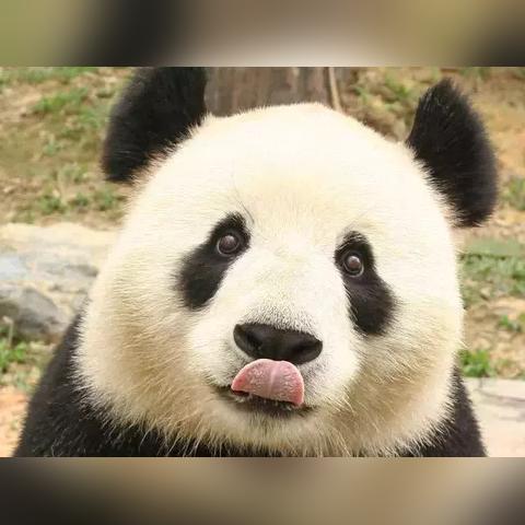 祖先的秘密都藏在八字里？看看过去的事是怎么被算出来的