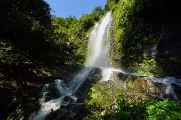 微店在哪进群 微店怎么进店群