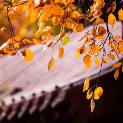 河南跟杭州哪个冷