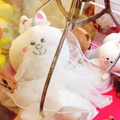 杭州布朗熊巡展门票的相关长尾关键词有哪些
