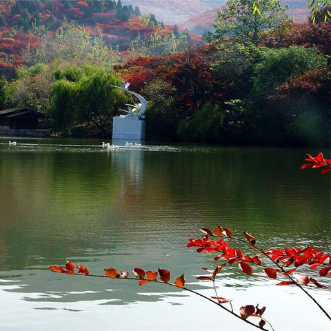 济南有几个有名的山？