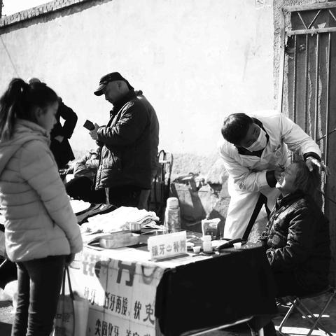 兰州市哪里有鸽子养殖场
