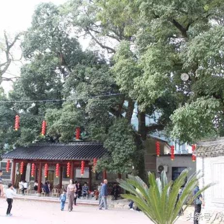 宁波市下河村是哪个区域