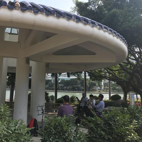 厦门鸽子的相关长尾关键词有哪些