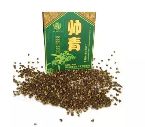乐至有什么美食（从成都开车回广东省揭阳市路上有什么景点）