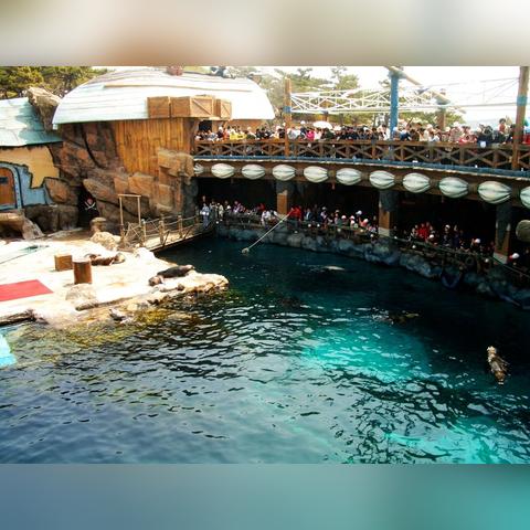 大连市是哪个区的