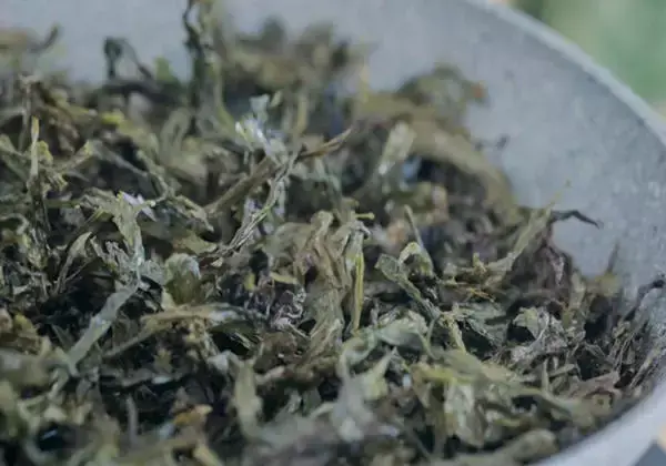 虾皮发病吗 河虾皮属于淡虾皮吗