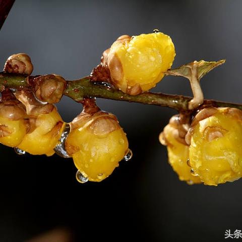 贵州福建哪个省大