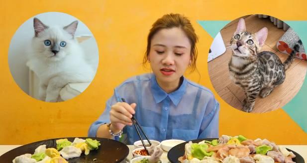 美食拍摄什么题材（每个省的特色美食都有哪些）