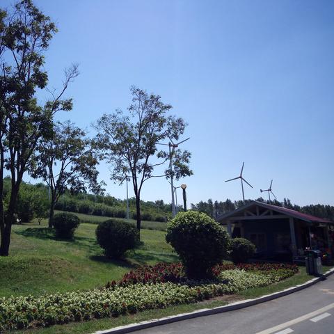 沈阳世博园 吃饭相关长尾关键词有哪些