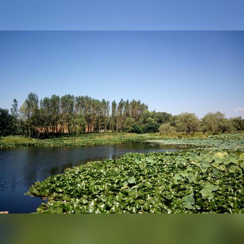 沈阳世博园几月份去好相关长尾关键词有哪些