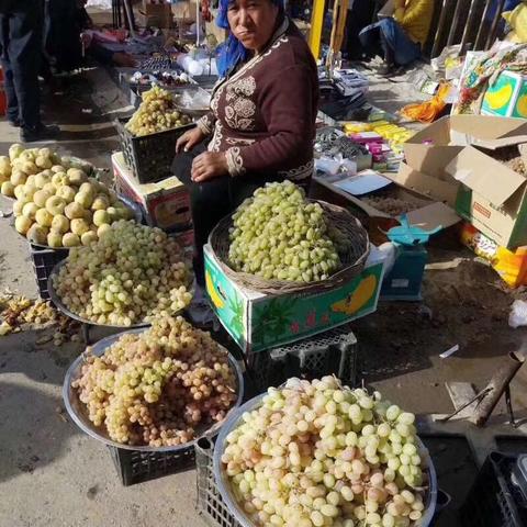 新疆主要水果有什么