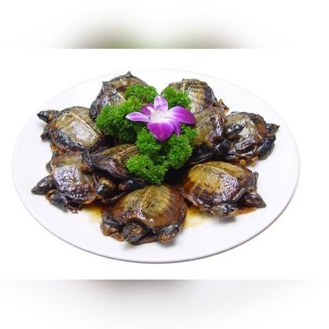 卤甲鱼的市场前景？