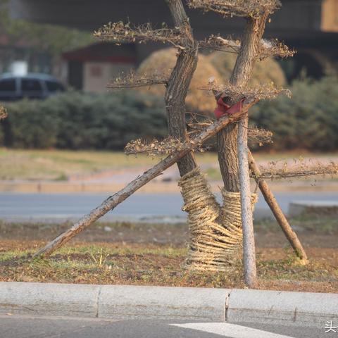 友谊县到哈尔滨坐火车最快最省钱怎么走?跪求？
