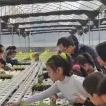 东莞市田心综合市场二手家具店的长尾关键词有哪些