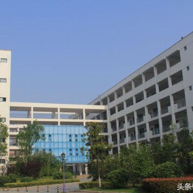合肥市高中部有多少