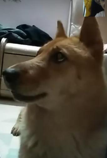 梦境的惊魂，解析梦见鬼抓我没抓到把我吓醒了的深层含义