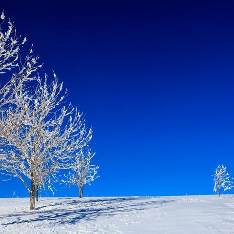 哈尔滨市有哪些著名的旅游景点