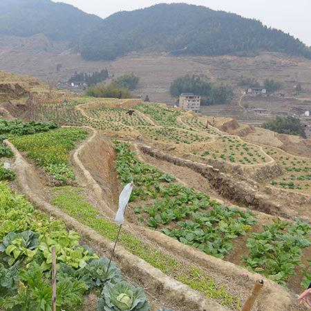 90年代的福建 泉州市的长尾关键词有什么