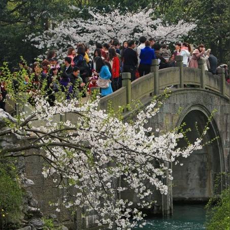 杭州市春天的气候怎么样