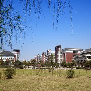 重庆大学奖学金排名的长尾关键词有什么