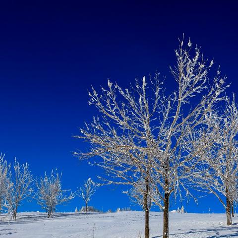 从哈尔滨去雪乡相关长尾关键词有哪些